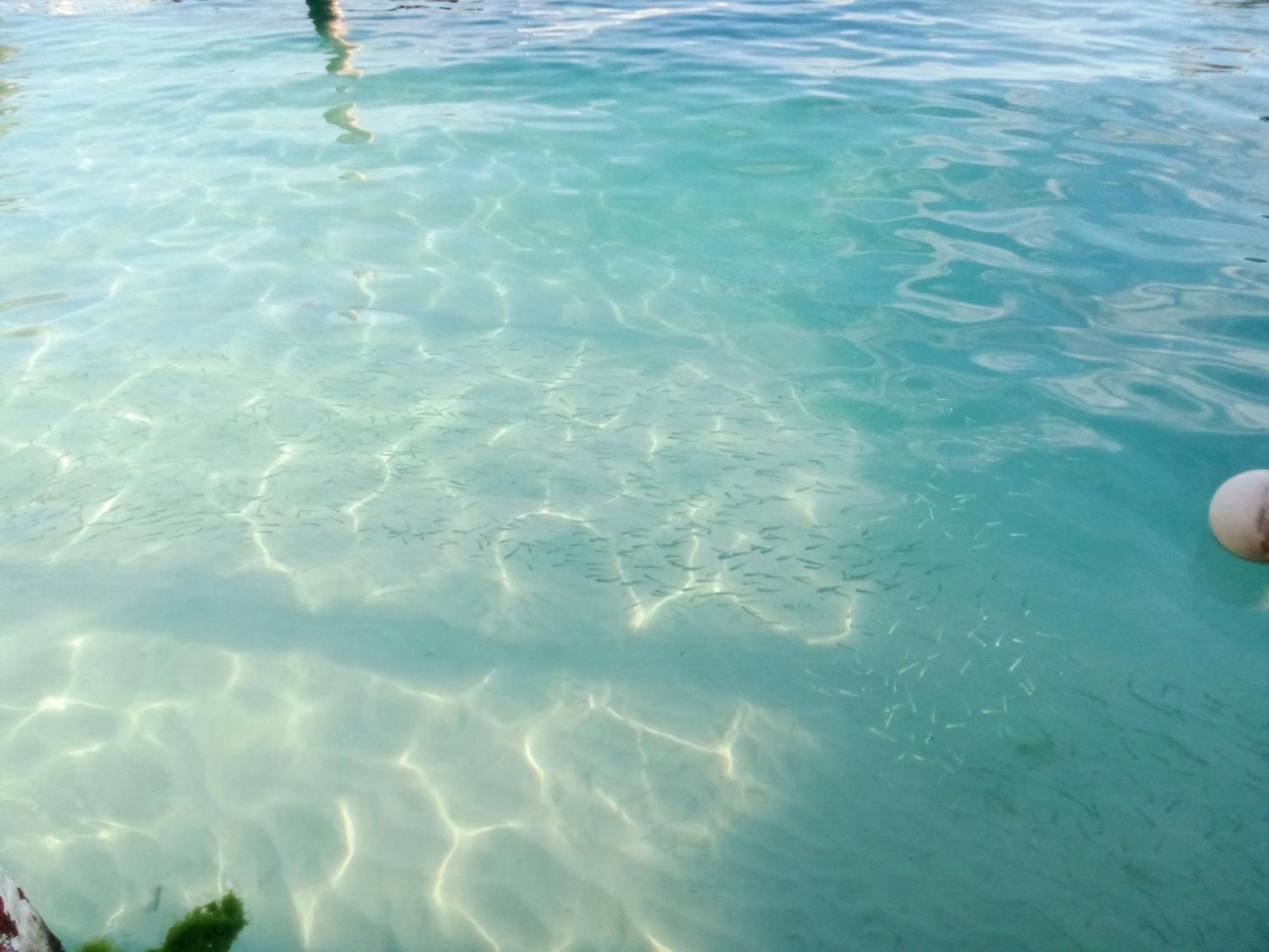 Hotel Hidden Island Glamping Isla Mujeres Zewnętrze zdjęcie